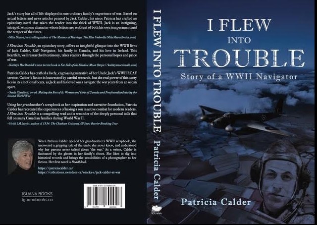 I-Flew-Into-Trouble-Book-Covers